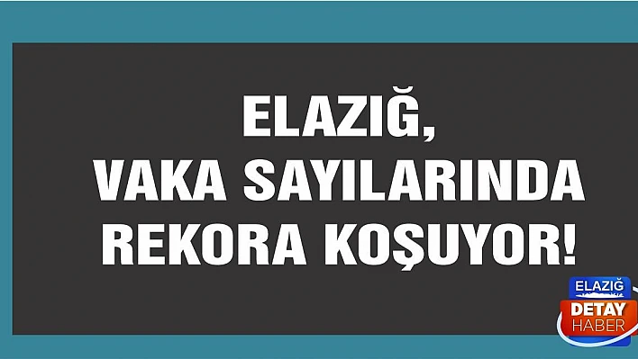 Koronavirüs Vaka Sayısında Rekora Koşuyoruz