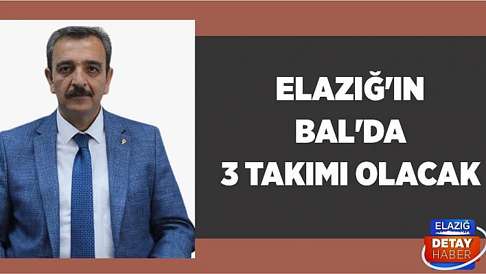 Elazığ'ın BAL'da 3 Takımı Olacak