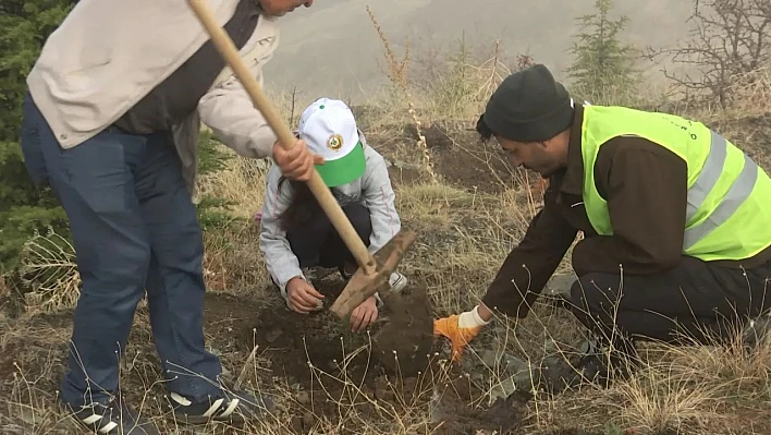 Harput'ta fidan dikildi