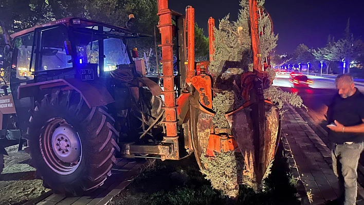 Hazardağlı Kavşağı'ndaki ağaçlar taşınarak koruma altına alınıyor