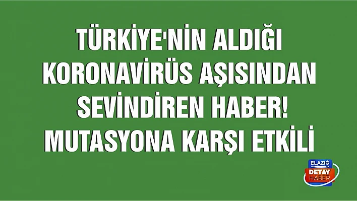 Türkiye'nin aldığı Çin koronavirüs aşısından sevindiren haber! 