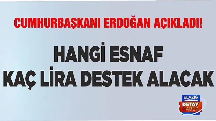 Hangi esnaf kaç lira destek alacak!