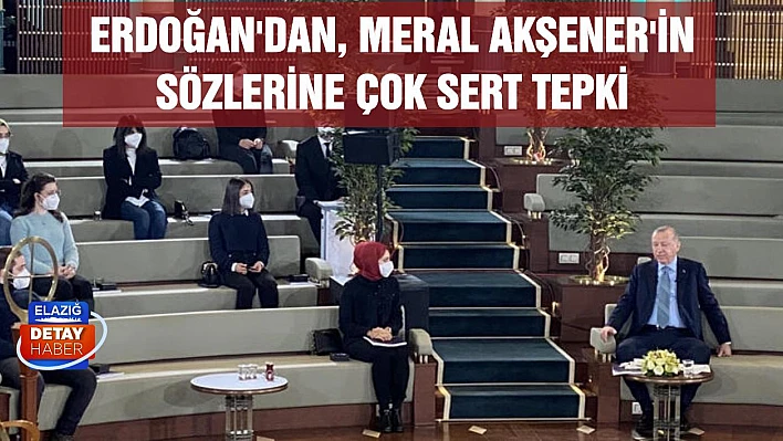 Erdoğan'dan Meral Akşener'in sözlerine tepki