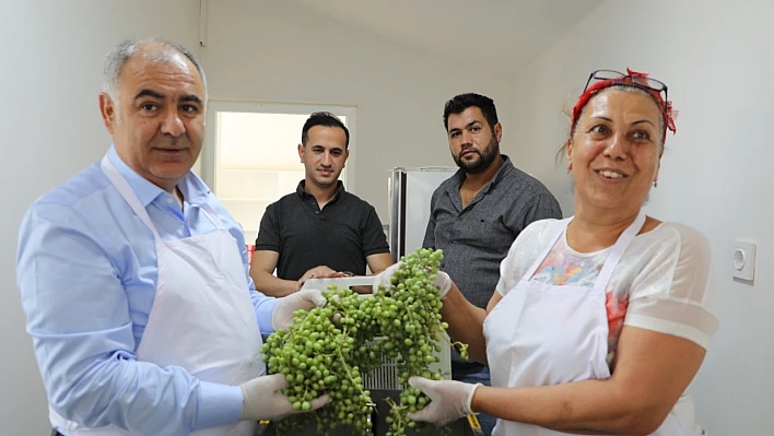 Kadın çiftçiler tarımsal yeniliklerle buluşuyor