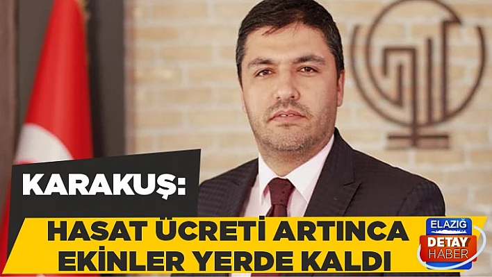 Karakuş: Hasat ücreti artınca ekinler yerde kaldı 