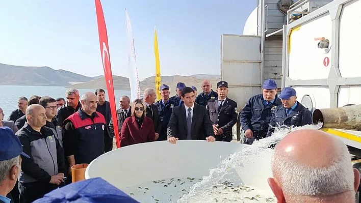 Keban'da Üretilen 300 bin sazan yavrusu Nahçıvan'da suya bırakıldı