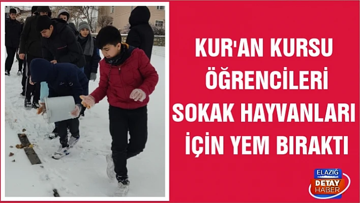 Kur'an Kursu öğrencileri sokak hayvanları için yem bıraktı 