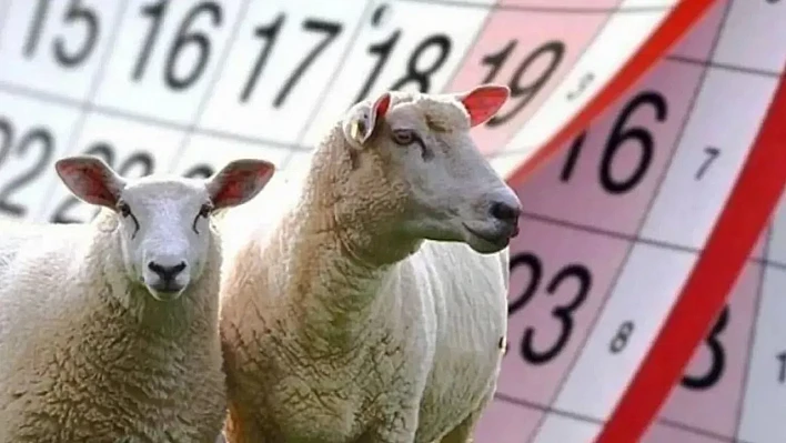 Kurban Bayramı tatili kaç gün oldu?