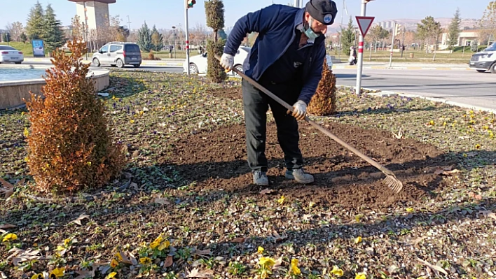 Lale ve sümbül soğanları toprakla buluştu