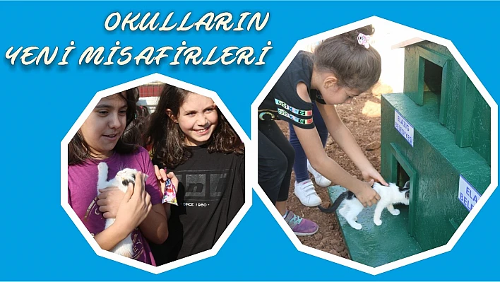 Okulların Yeni Misafirleri