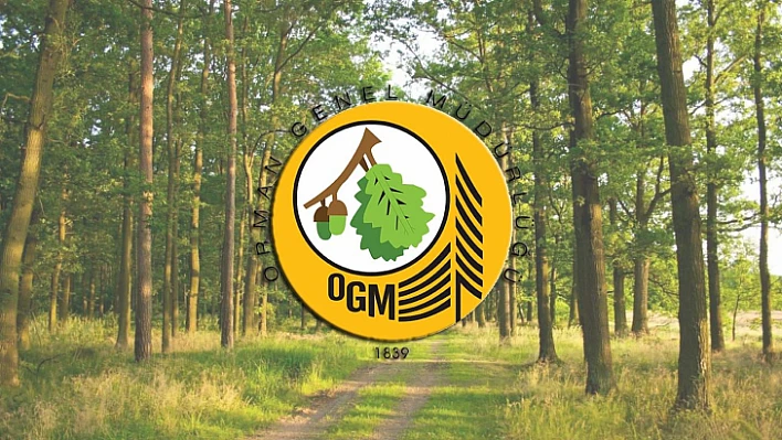 Orman Genel Müdürlüğü Elazığ'da personel alacak