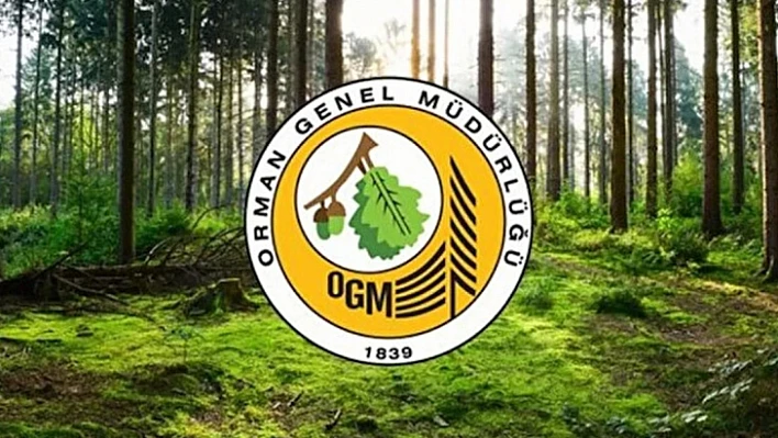 Orman Genel Müdürlüğü Elazığ'da mühendis alımı yapacak 