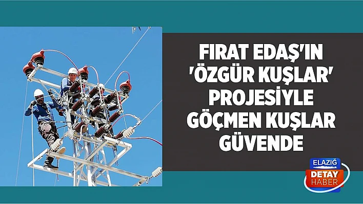 Fırat EDAŞ'ın 'Özgür Kuşlar' Projesiyle Göçmen Kuşlar Güvende