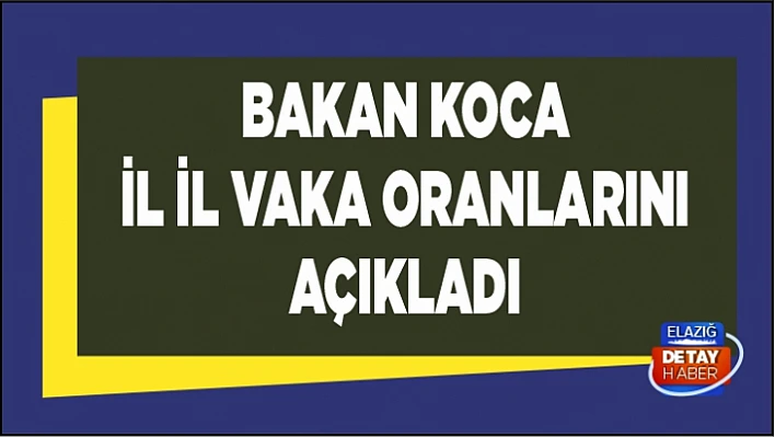Sağlık Bakanı Koca il il vaka oranını açıkladı! 