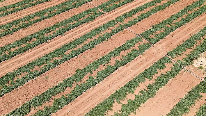 Sivrice İlçesi Dedeyolu Köyü sulama tesisi hizmete açıldı