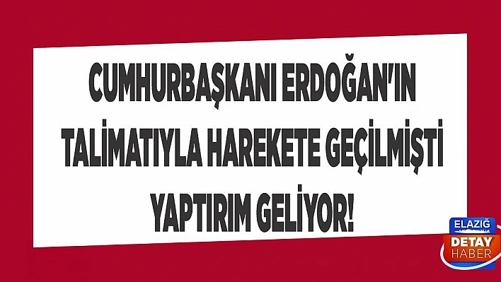 Cumhurbaşkanı Erdoğan'ın talimatıyla harekete geçilmişti yaptırım geliyor!