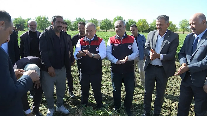 Vali Hatipoğlu şeker pancarı hasadına katıldı