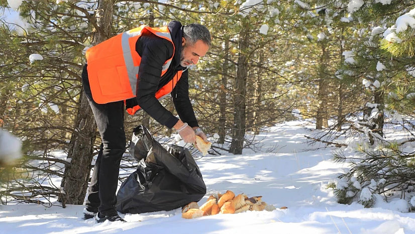 Belediye sokak hayvanlarını unutmadı