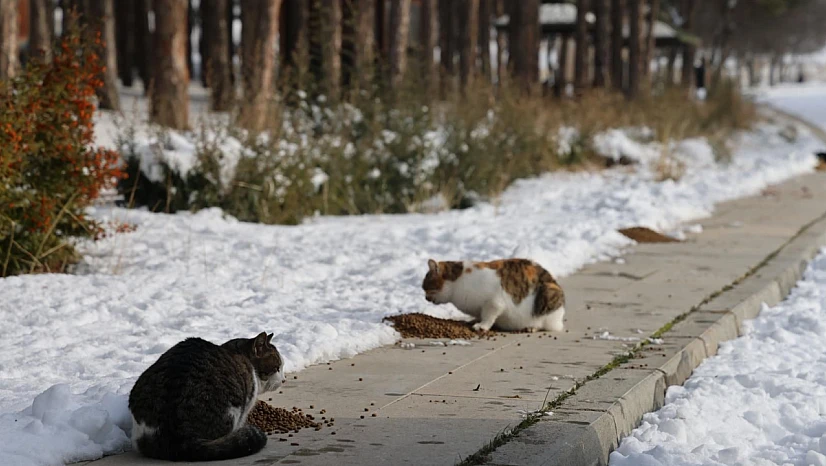 Elazığ Barosu'ndan duyarlılık çağrısı!