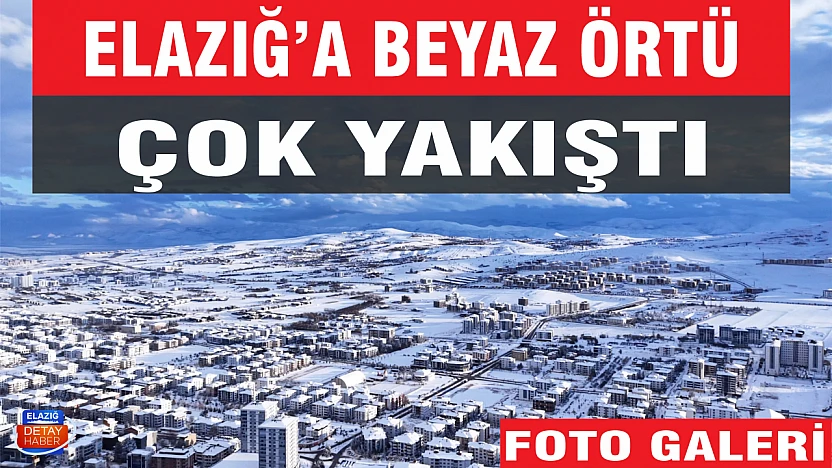 Elazığ'a beyaz örtü çok yakıştı