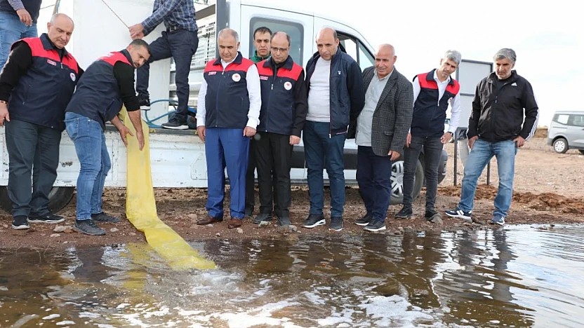 Kalecik Baraj Gölüne sazan bırakıldı