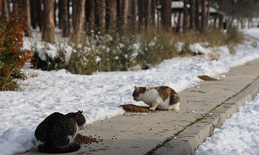 Elazığ Barosu'ndan duyarlılık çağrısı!