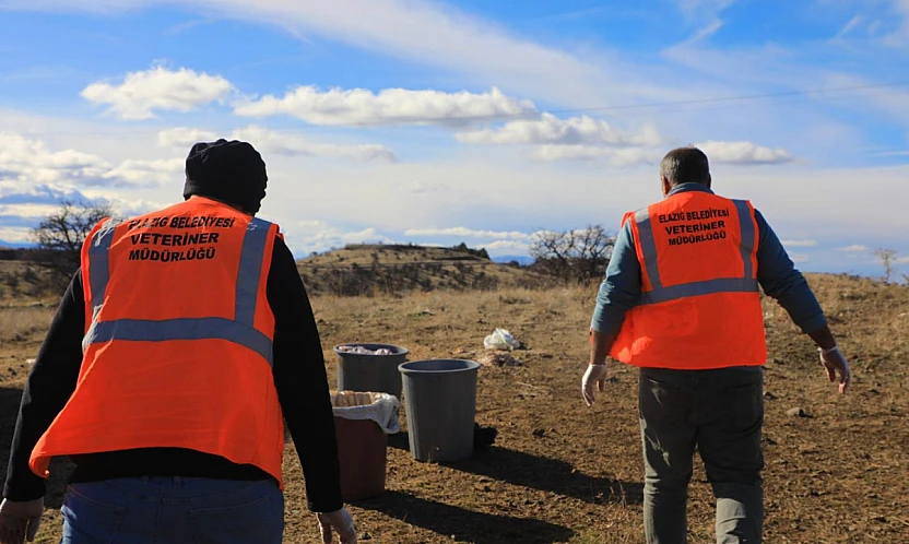 Elazığ Belediyesi doğaya yem bıraktı
