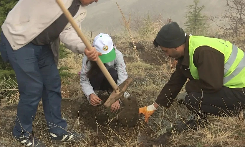 Harput'ta fidan dikildi