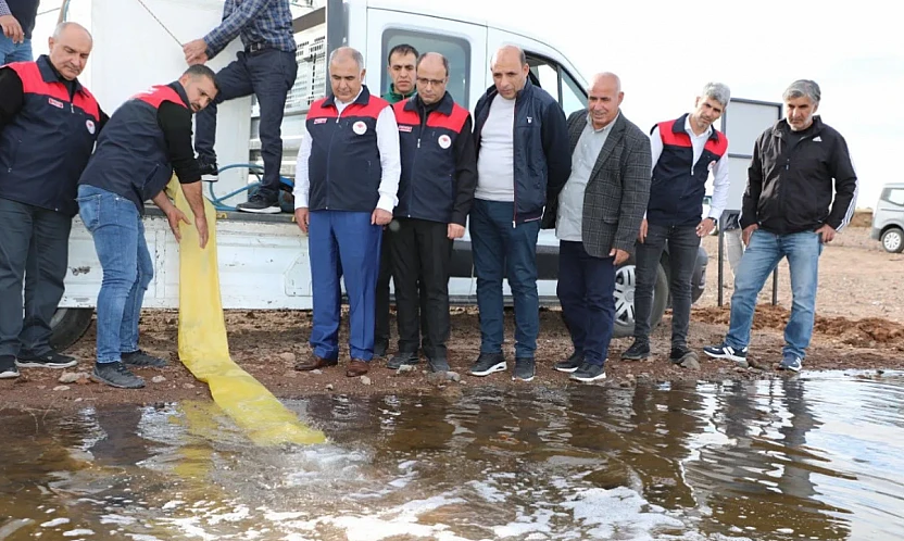 Kalecik Baraj Gölüne sazan bırakıldı